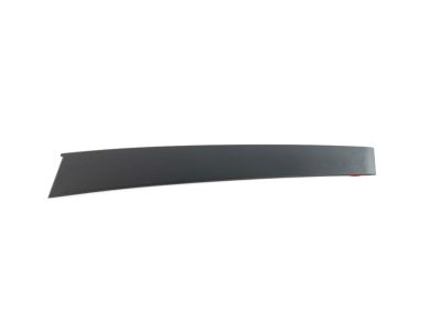 Mopar 68292928AD B Pillar Applique