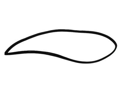 Mopar 4717728AC WEATHERSTRIP-Front Door