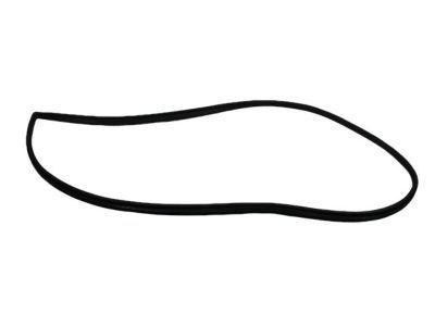 Mopar 4717728AC WEATHERSTRIP-Front Door