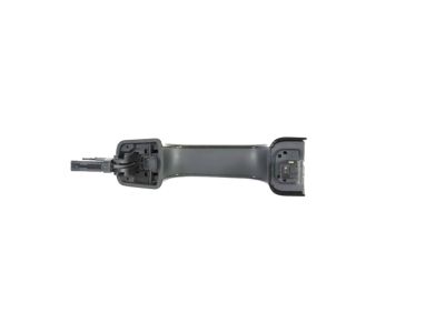 Mopar 6CV64GTWAD Handle-Exterior Door