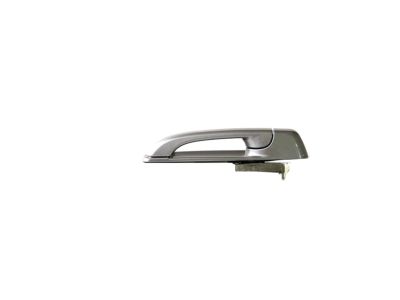 Mopar 1GH18JSCAF Exterior Door
