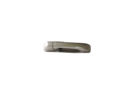 Mopar 1GH18JSCAF Exterior Door