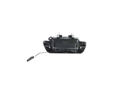Mopar 6RN75GTWAA Handle-TAILGATE