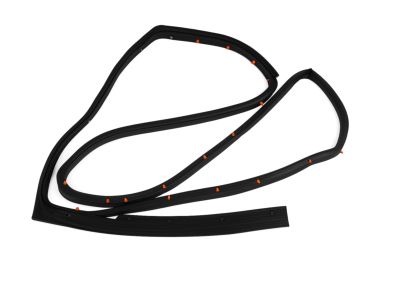 Mopar 5076869AC WEATHERSTRIP-Rear Door Mounted