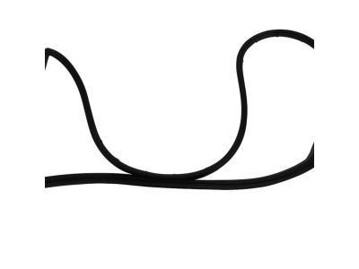 Mopar 4894984AC WEATHERSTRIP-Front Door Mounted