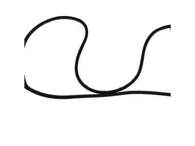 Mopar 4894984AC WEATHERSTRIP-Front Door Mounted