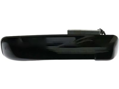 Mopar 1GH19AXRAF Exterior Door