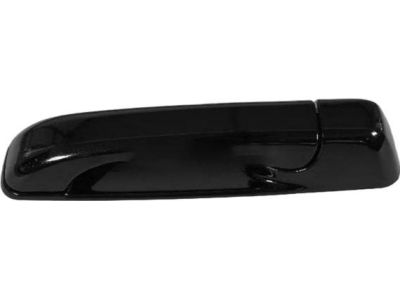 Mopar 1GH19AXRAF Exterior Door