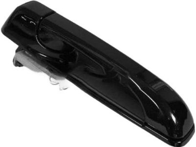 Mopar 1GH19AXRAF Exterior Door