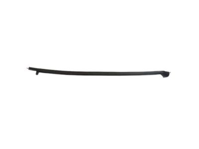 Mopar 68188722AD WEATHERSTRIP-Sliding Door Secondary