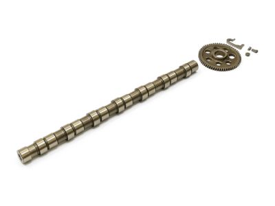 Mopar 68003407AA Engine Camshaft