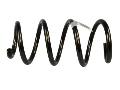 Mopar 5168671AB Front Suspension-Coil Spring