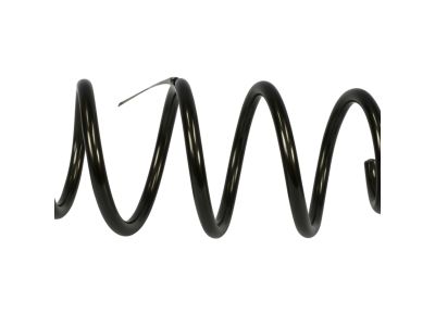 Mopar 5168671AB Front Suspension-Coil Spring