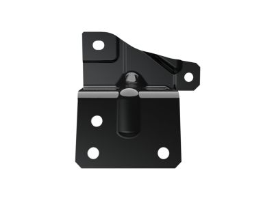 Mopar 68169816AA Bracket-Spare Tire