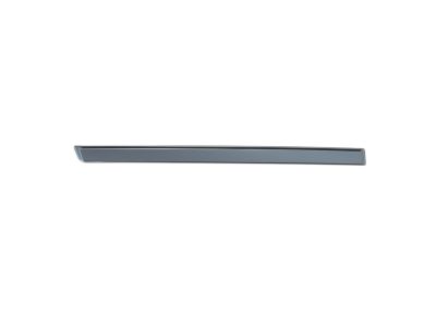 Mopar 5179258AA Molding-Rear Door
