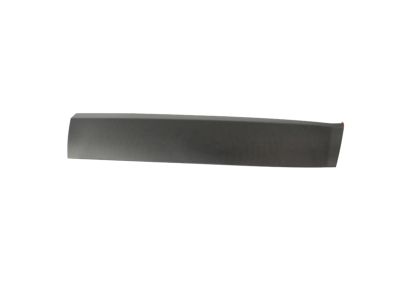 Mopar 5VX84LXHAA Molding-Front Door