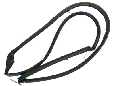 Mopar 5017462AH WEATHERSTRIP-Front Door