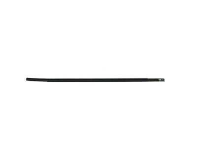 Mopar 68285776AE W/STRIP-Rear Door Belt Outer
