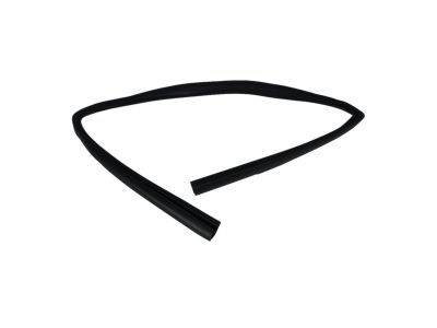 Mopar 5074560AI WEATHERSTRIP-Front Door Glass