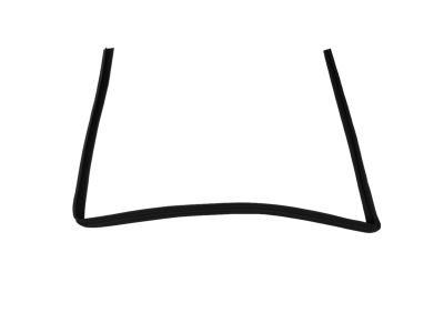 Mopar 5074560AI WEATHERSTRIP-Front Door Glass