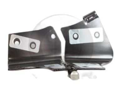 Mopar 55075702AJ Hinge-Door