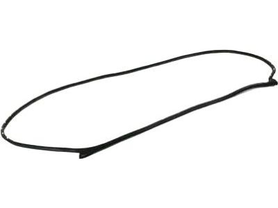 Mopar 68291602AC WEATHERSTRIP-Front Door Mounted