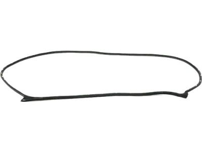 Mopar 68291602AC WEATHERSTRIP-Front Door Mounted