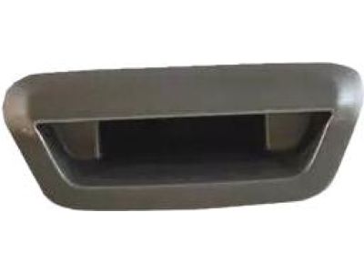 Mopar 5VF90DX8AC Handle-LIFTGATE