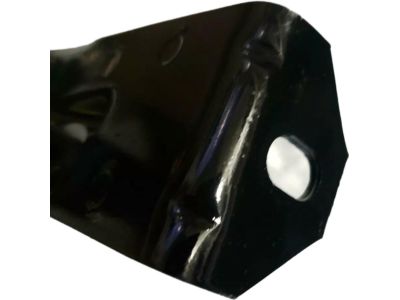 Mopar 68224753AA Strap-Fuel Tank