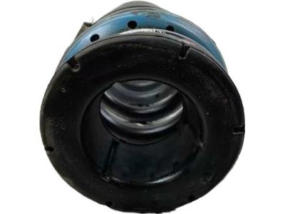 Mopar 68029665AD Rear Coil Spring