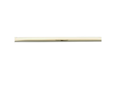 Mopar 68140240AA Molding-Rear Door