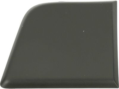Mopar 1ZT32JXWAB Molding-Door Outside