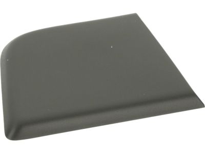 Mopar 1ZT32JXWAB Molding-Door Outside