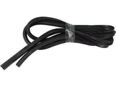 Mopar 5074520AC WEATHERSTRIP-Rear Door Mounted