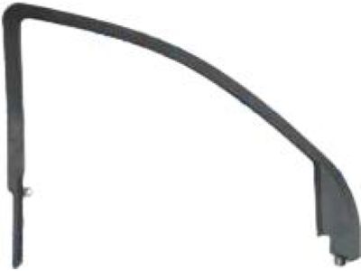 Mopar 1EF03DX9AD Molding-Door Window Opening