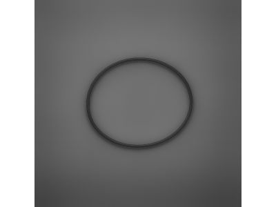 Mopar 6033158 O Ring-Reverse & O/DRIVE Clutch Pi