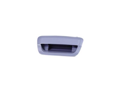 Mopar 1YK38PDNAE Handle-LIFTGATE