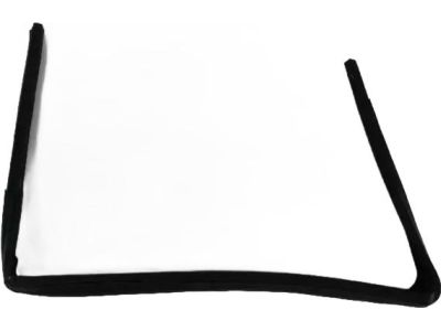 Mopar 5112246AD WEATHERSTRIP-Front Door Glass Run