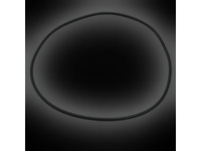 Mopar 68019797AA O Ring