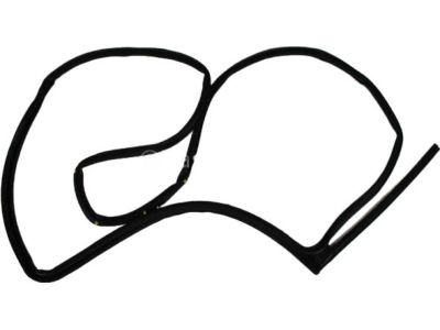 Mopar 55399186AG W/STRIP-Rear Door Opening