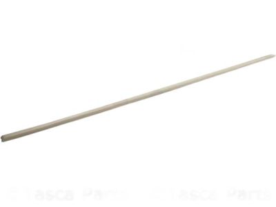 Mopar 5189395AB Molding-Front Door
