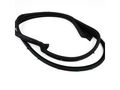 Mopar 5067766AD WEATHERSTRIP-Front Door Mounted