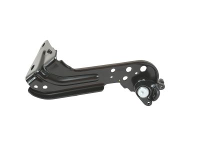 Mopar 68185996AA Sliding Door Hinge