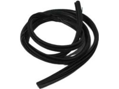 Mopar 5076860AG WEATHERSTRIP-Rear Door Body Mounted