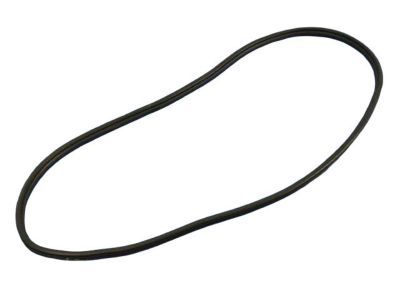 Mopar 55399255AE WEATHERSTRIP-Rear Door Mounted