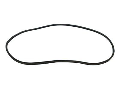 Mopar 55399255AE WEATHERSTRIP-Rear Door Mounted
