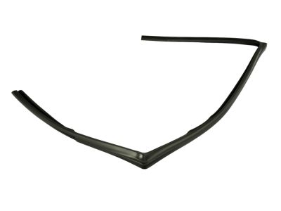 Mopar 5074657AF WEATHERSTRIP-Front Door Glass Run