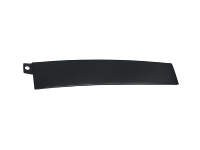 Mopar 4806309AB APPLIQUE-Rear Door