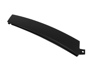 Mopar 4806309AB APPLIQUE-Rear Door