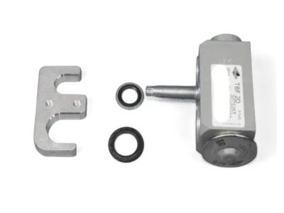 Mopar 68200524AA Valve-A/C Expansion